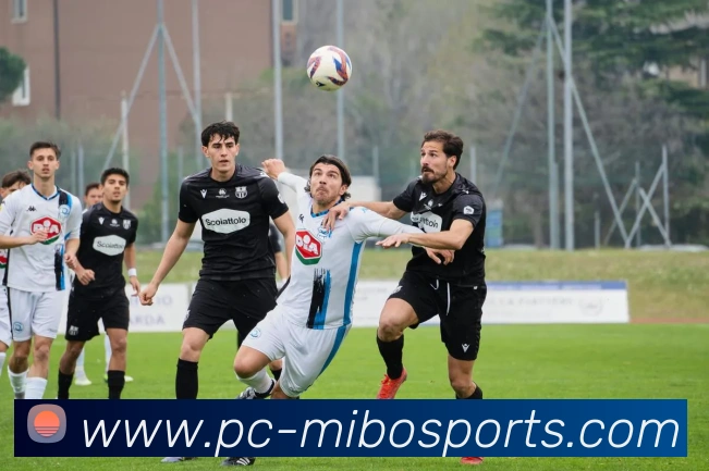 体育下注平台生态图