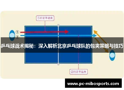 乒乓球战术揭秘：深入解析北京乒乓球队的包夹策略与技巧